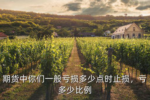 期貨中你們一般虧損多少點(diǎn)時(shí)止損，虧多少比例
