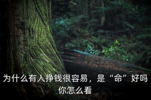 為什么有人掙錢很容易，是“命”好嗎你怎么看