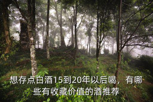 想存點白酒15到20年以后喝，有哪些有收藏價值的酒推薦