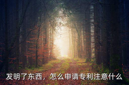 發(fā)明了東西，怎么申請(qǐng)專(zhuān)利注意什么