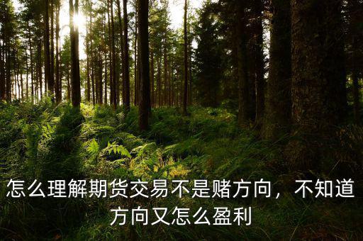 怎么理解期貨交易不是賭方向，不知道方向又怎么盈利