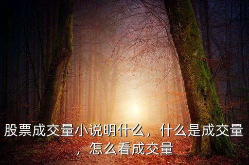 股票成交量小說明什么，什么是成交量，怎么看成交量