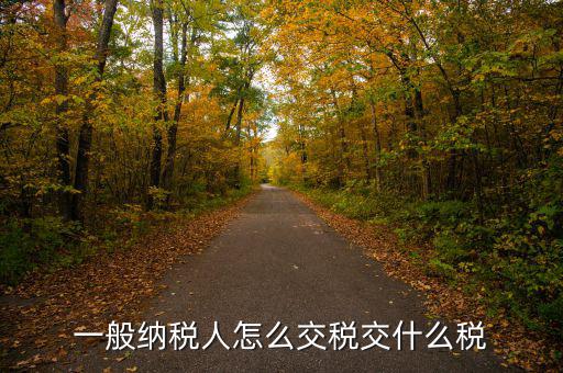 稅友可以繳納什么稅，一般納稅人應(yīng)該交什么稅稅率是多少啊