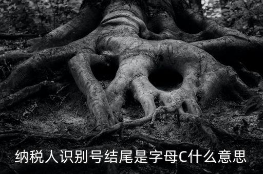 c級納稅人是什么意思，納稅人識別號結尾是字母C什么意思