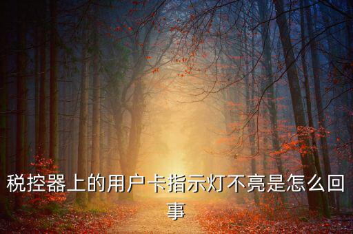 稅控機(jī)用戶卡是什么，稅控器上的用戶卡指示燈不亮是怎么回事