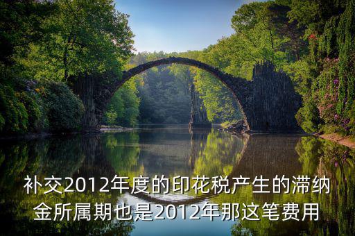 補交印花稅屬期是什么意思，補交2012年度的印花稅產生的滯納金所屬期也是2012年那這筆費用