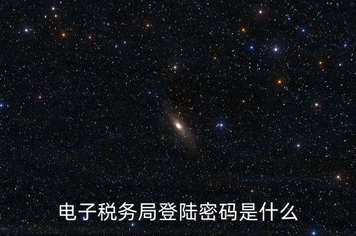 納稅人登路的密碼是什么，國(guó)稅第一次網(wǎng)上申報(bào)的登陸密碼是什么