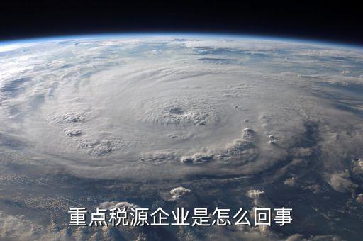 什么是重點(diǎn)稅源企業(yè)，重點(diǎn)稅源是什么