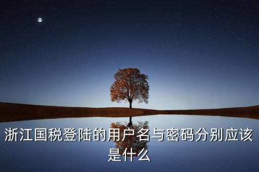 浙江省網(wǎng)上稅務(wù)局賬號(hào)是什么，電子稅務(wù)局賬號(hào)是什么號(hào)碼