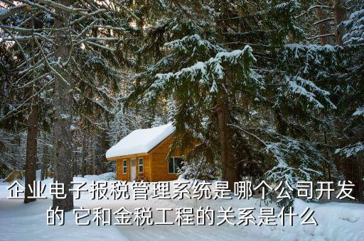 什么是網(wǎng)稅系統(tǒng)，企業(yè)電子報(bào)稅管理系統(tǒng)是哪個(gè)公司開發(fā)的 它和金稅工程的關(guān)系是什么