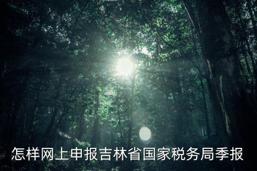 吉林省用什么報(bào)稅系統(tǒng)，吉林省的報(bào)稅系統(tǒng)如何使用