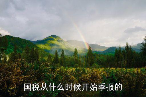 國稅什么時(shí)間申報(bào)，國稅從什么時(shí)候開始季報(bào)的