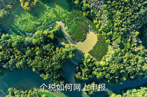地稅登入名是什么admin，地稅注冊的新公司登陸首次登陸用戶名怎么填密碼呢