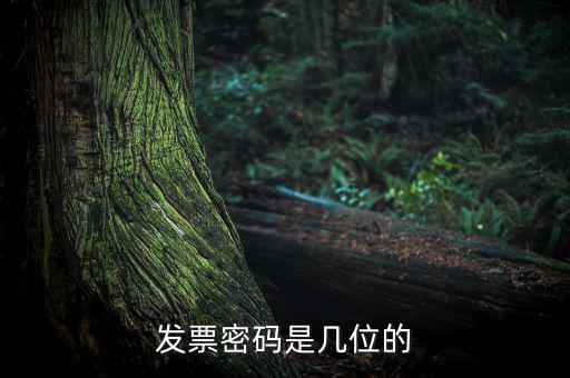 普通發(fā)票密碼是什么，國(guó)稅局發(fā)票軟件里用戶代碼和密碼是什么