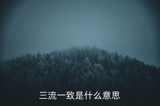 發(fā)票 流向一致是什么意思，發(fā)票四流一致是哪四流