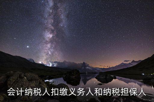 什么叫納稅擔(dān)保人，什么是納稅擔(dān)保