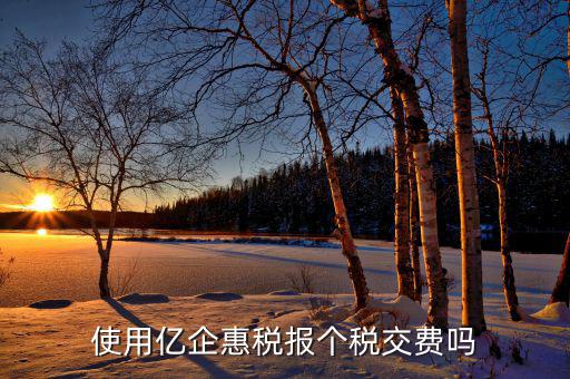 深圳億企惠稅報什么稅，稅友億企惠稅是用來申報地稅還是國稅