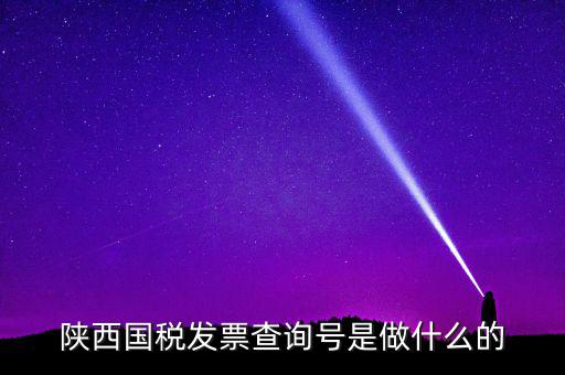 陜西國(guó)稅發(fā)票查詢號(hào)是做什么的