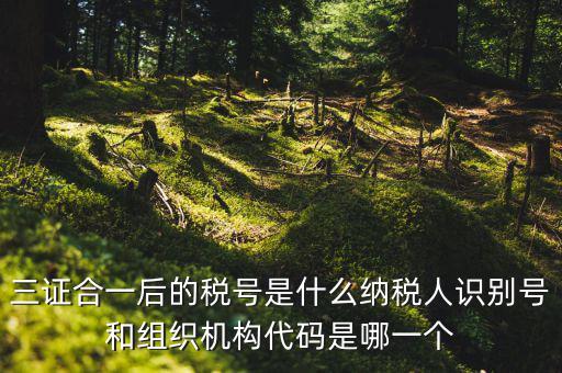 三證合一后的稅號是什么納稅人識別號和組織機(jī)構(gòu)代碼是哪一個