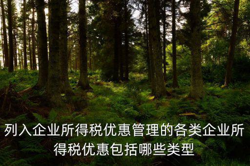 企業(yè)所得稅優(yōu)惠事項(xiàng)名稱指什么，享受企業(yè)所得稅優(yōu)惠申請(qǐng)表中稅收優(yōu)惠事項(xiàng)名稱怎么填
