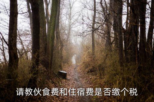 住宿費(fèi)屬于什么稅，請教伙食費(fèi)和住宿費(fèi)是否繳個稅