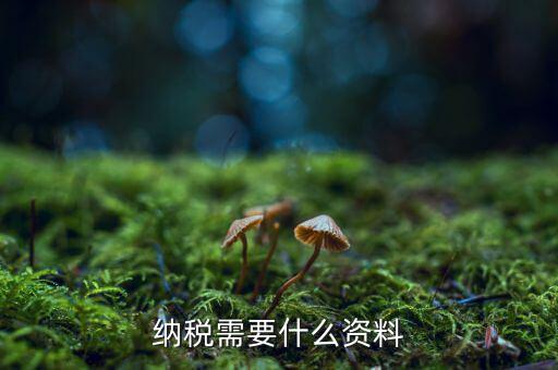 納稅人需要什么，納稅需要什么資料