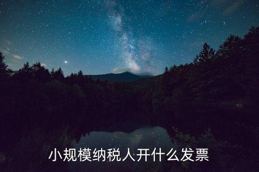 成都小規(guī)模應(yīng)開什么發(fā)票，小規(guī)模納稅人開什么發(fā)票