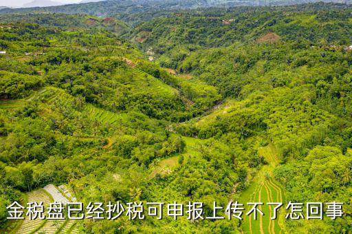 金稅申報(bào)發(fā)送不了是什么原因，金稅盤已經(jīng)抄稅可申報(bào)上傳不了怎回事