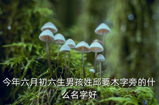 稅什么邱什么的名字，孩子姓邱該取什么名字呢男女都行