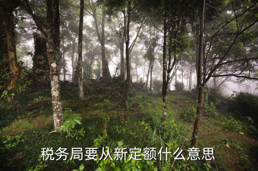 變更納稅定額是什么意思，調(diào)整應納稅所得額什么意思