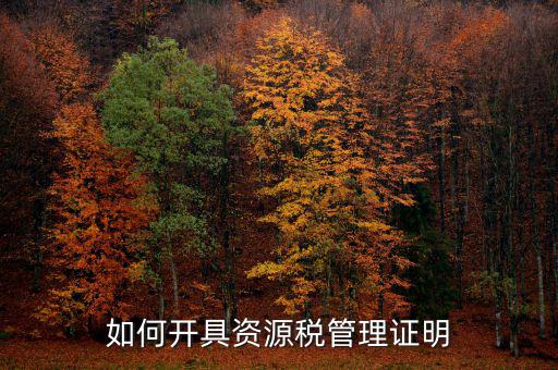 資源稅乙種證明要什么資料，混凝土公司購(gòu)買(mǎi)砂石需要開(kāi)具資源稅乙種證明嗎
