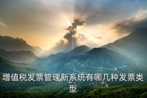 增值稅發(fā)票管理新系統(tǒng)是什么，增值稅開票系統(tǒng)有幾種 增值稅開票系統(tǒng)有哪些