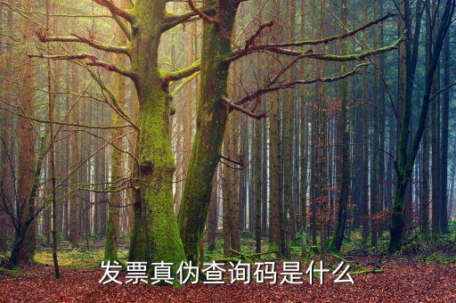 定額發(fā)票真?zhèn)尾樵兲柺鞘裁?，發(fā)票真?zhèn)尾樵兇a是什么