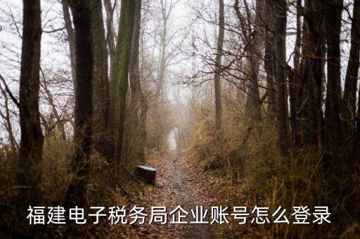 福建省地稅登入名是什么，地稅網(wǎng)上報稅平臺報稅賬號是什么