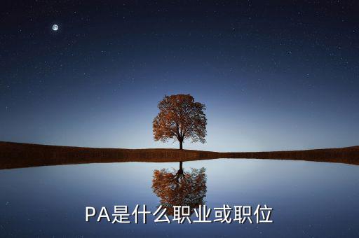 河南省國(guó)稅局陳紅偉什么職務(wù)，PA是什么職業(yè)或職位