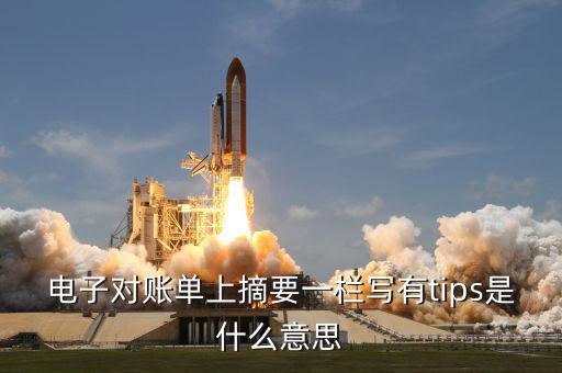 國稅tips系統(tǒng)指什么，電子對(duì)賬單上摘要一欄寫有tips是什么意思