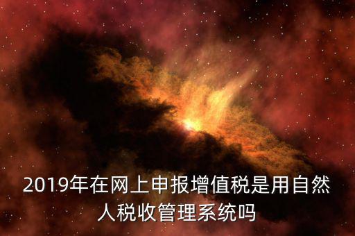 什么是增值稅管理系統(tǒng)，2019年在網(wǎng)上申報(bào)增值稅是用自然人稅收管理系統(tǒng)嗎