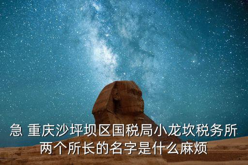 稅務(wù)所所長什么級別，地稅局基層稅務(wù)所屬什么層級