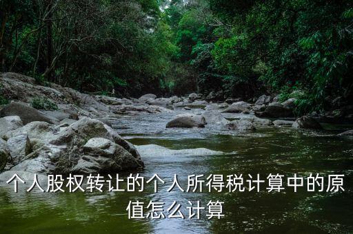 股權(quán)原值是什么，公司注冊資本是100萬現(xiàn)在要轉(zhuǎn)讓股權(quán)那股權(quán)原值是多少股權(quán)轉(zhuǎn)