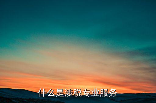 涉稅專業(yè)服務(wù)機構(gòu) 包括什么，什么是涉稅專業(yè)服務(wù)
