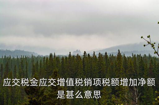 稅額增長點是什么意思，應(yīng)交稅金應(yīng)交增值稅銷項稅額增加凈額是甚么意思