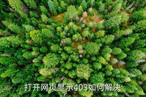 打開網(wǎng)頁(yè)顯示403如何解決