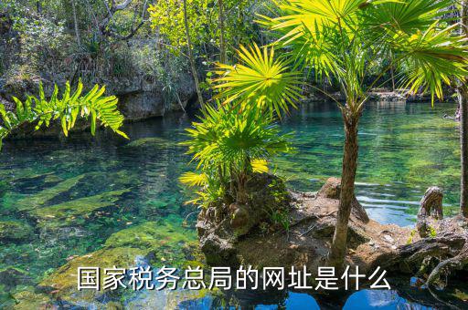 什么網(wǎng)址可以打開國家稅務網(wǎng)站，國家稅務總局的網(wǎng)址是什么