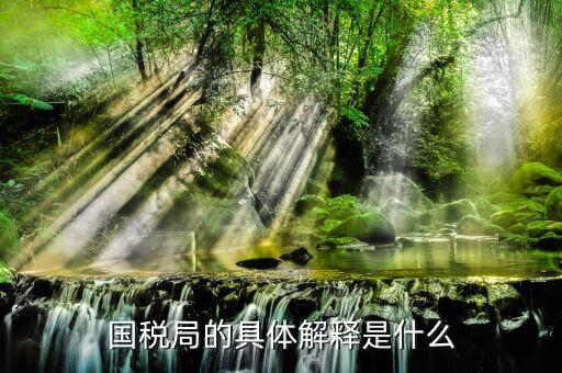 什么屬于國稅局，國稅局的具體解釋是什么