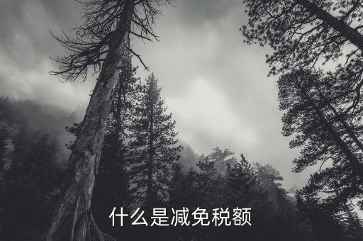 什么是抵免所得稅額，企業(yè)所得稅的減免額抵減額指的是什么