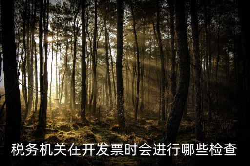 國稅專業(yè)發(fā)票核查是什么，國稅發(fā)短信讓帶公章去稅務(wù)局核查發(fā)票是什么意思急急急