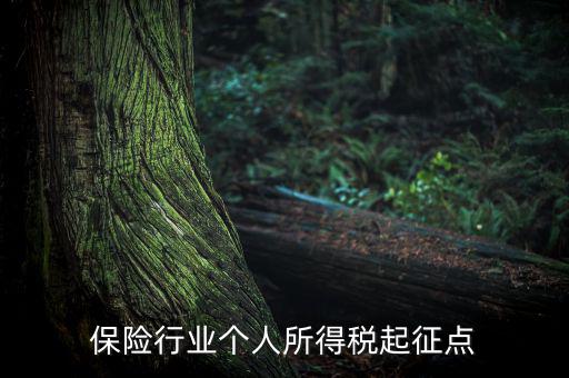 保險(xiǎn)行業(yè)入交什么稅，保險(xiǎn)行業(yè)個(gè)人所得稅起征點(diǎn)