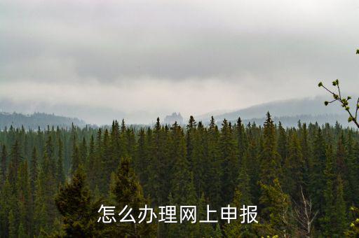 航天數(shù)字證書是什么，機打發(fā)票上顯示輸入正確的數(shù)字證書怎么回事