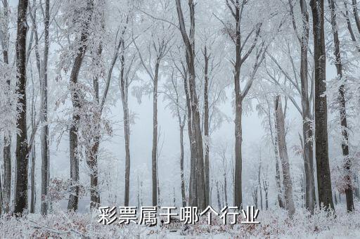 什么是彩票發(fā)行收入，福利彩票的發(fā)行收入是否征收營(yíng)業(yè)稅