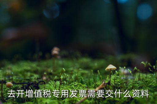 開(kāi)專票需要對(duì)方什么資料，開(kāi)具增值稅專用發(fā)票需要購(gòu)買(mǎi)方提交什么資料稅屋